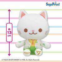 【JEONGHAN】SEVENTEEN　ANIMAL COORDY　ミニぬいぐるみ〜SECTOR17〜