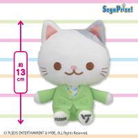 【VERNON】SEVENTEEN　ANIMAL COORDY　ミニぬいぐるみ〜SECTOR17〜Vol.4