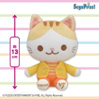 【SEUNGKWAN】SEVENTEEN　ANIMAL COORDY　ミニぬいぐるみ〜SECTOR17〜Vol.4