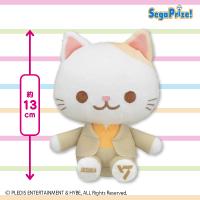 【JOSHUA】SEVENTEEN　ANIMAL COORDY　ミニぬいぐるみ〜SECTOR17〜