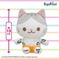 【S.COUPS】SEVENTEEN　ANIMAL COORDY　ミニぬいぐるみ〜SECTOR17〜