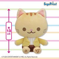 【DK】SEVENTEEN　ANIMAL COORDY　ミニぬいぐるみ〜SECTOR17〜Vol.4