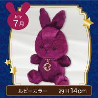【誕生月・7月】Happy Birth color　Rabbit〜Moon〜