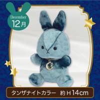 【誕生月・12月】Happy Birth color　Rabbit〜Moon〜
