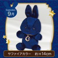 【誕生月・9月】Happy Birth color　Rabbit〜Moon〜