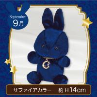 【誕生月・9月】Happy Birth color　Rabbit〜Moon〜