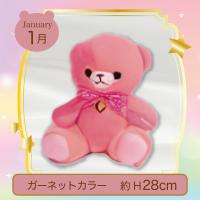 【誕生月・1月】Happy Birthcolor Pastel Bear