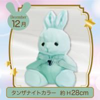 【誕生月・12月】Happy Birthcolor Pastel Rabbit