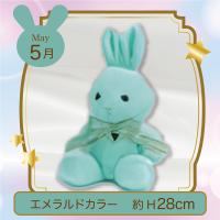 【誕生月・5月】Happy Birthcolor Pastel Rabbit