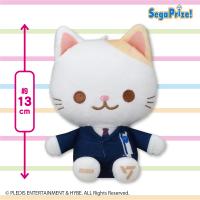 【JOSHUA】SEVENTEEN　ANIMAL COORDY　ミニぬいぐるみ〜DREAM〜