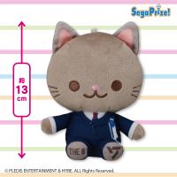 【THE8】SEVENTEEN　ANIMAL COORDY　ミニぬいぐるみ〜DREAM〜 Vol.3