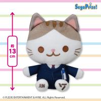 【JUN】SEVENTEEN　ANIMAL COORDY　ミニぬいぐるみ〜DREAM〜 Vol.2