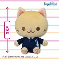 【WOOZI】SEVENTEEN　ANIMAL COORDY　ミニぬいぐるみ〜DREAM〜 Vol.3