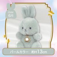 【誕生月・6月】Happy Birthcolor Pastel Rabbit〜Crown〜