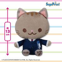 【HOSHI】SEVENTEEN　ANIMAL COORDY　ミニぬいぐるみ〜DREAM〜 Vol.2