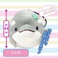 【シャチ】【限定】みいるか　ゆるいるかぬいぐるみマスコット