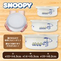 【DASH】スヌーピー 蓋付きホーローボウル3点セット