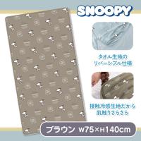 【ブラウン】スヌーピーめちゃ冷えタオルケット