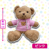 【ピンク】パーカーベアぬいぐるみ