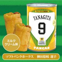 【ホークス・柳田悠岐選手】パシフィック・リーグ6球団選手パン缶