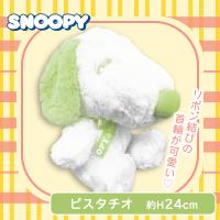 【ピスタチオ】スヌーピー お座りキュートBIGぬいぐるみ