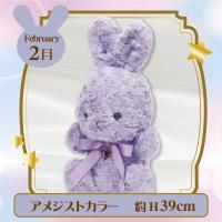 【誕生月・2月】HappyBirthcolorRabbit Roseboa Heart Lsize