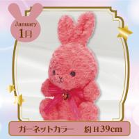 【誕生月・1月】HappyBirthcolorRabbit Roseboa Heart Lsize