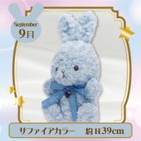 【誕生月・9月】HappyBirthcolorRabbit Roseboa Heart Lsize
