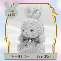 【誕生月・6月】HappyBirthcolorRabbit Roseboa Heart Lsize