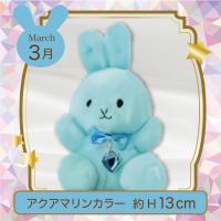 【誕生月・3月】Happy Birthcolor Pastel Rabbit Ribbon Heart