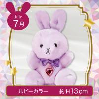 【誕生月・7月】Happy Birthcolor Pastel Rabbit Ribbon Heart