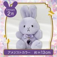 【誕生月・2月】Happy Birthcolor Pastel Rabbit Ribbon Heart