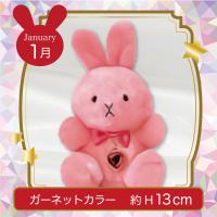 【誕生月・1月】Happy Birthcolor Pastel Rabbit Ribbon Heart