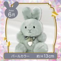 【誕生月・6月】Happy Birthcolor Pastel Rabbit Ribbon Heart