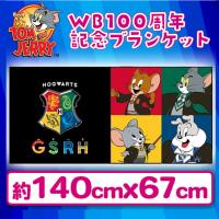 【限定景品】【スクエア】ワーナーブラザーズ100周年　ワイドサイズブランケット