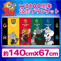 【限定景品】【ストライプ】ワーナーブラザーズ100周年　ワイドサイズブランケット