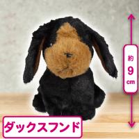 【ダックスフント(黒)】プチシェリー