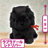 【ラブラドールレトリバー(黒)】プチシェリー