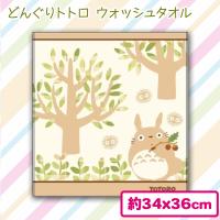 【トトロ】どんぐりトトロ ウォッシュタオル