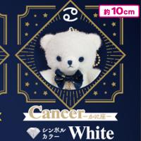 【かに座】星のくまさん