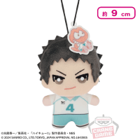 ハイキュー ちみっともぬい 2種　マルチケース3点セット　送料無料　新品 2025年最新】ハイキュー ちみっともぬい vol.1の人気アイテム