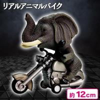 【アフリカゾウ】リアルアニマルバイク