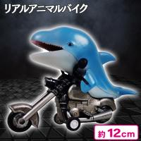 【バンドウイルカ】リアルアニマルバイク