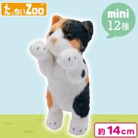 【三毛猫】たっちぃZooにゃんこmini