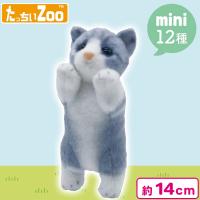 【マンチカン】たっちぃZooにゃんこmini