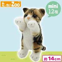 【スコティッシュフォールド】たっちぃZooにゃんこmini