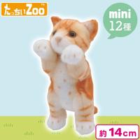 【アメリカンショートヘア】たっちぃZooにゃんこmini