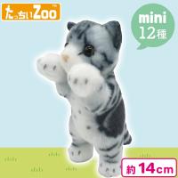 【アメリカンショートヘア:シルバー】たっちぃZooにゃんこmini