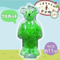 【マスカット】くまちゃんの金平糖