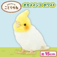 【オカメインコ・ホワイト】ことりのね！小鳥シリーズ